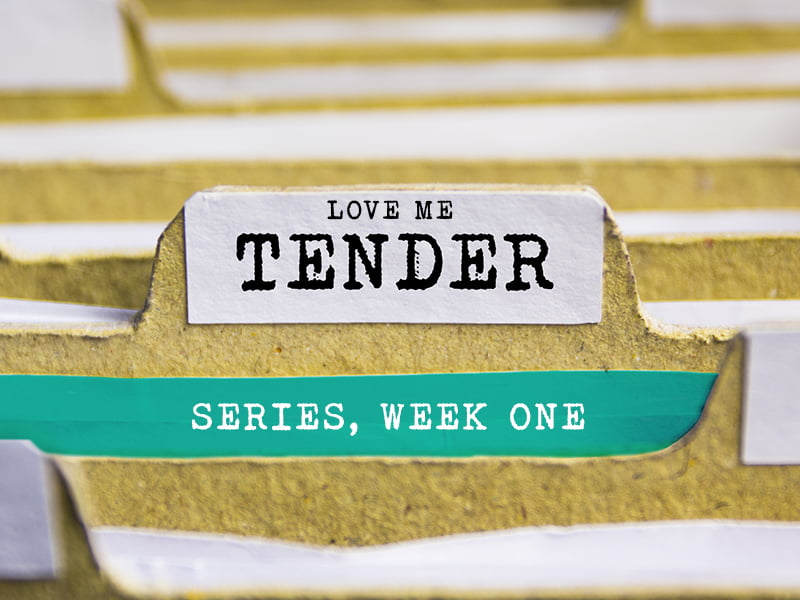 Love me tender, series, week one, week 1