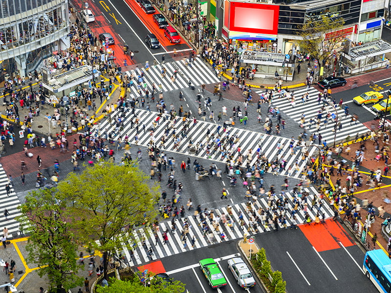 Tokyo, Crossing, Busy, Japan