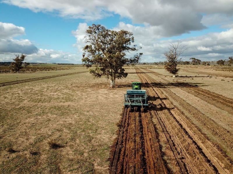 regional farm