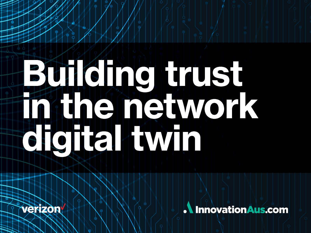 Bridging the physical and virtual worlds with digital twins